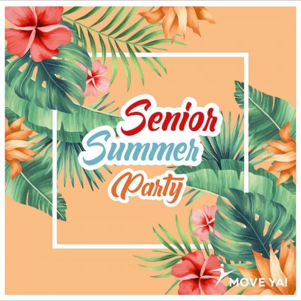 SENIOR SUMMER PARTY - CD Seniors - BSA PRO