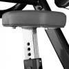 Larry Scott biceps curl BH L130 - Postes Biceps triceps - BSA PRO