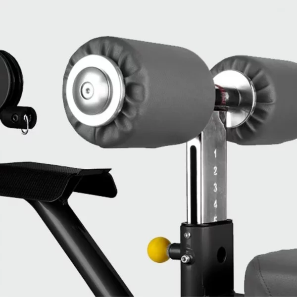 Poulie haute et basse BH L550 - Postes Pectoraux - BSA PRO