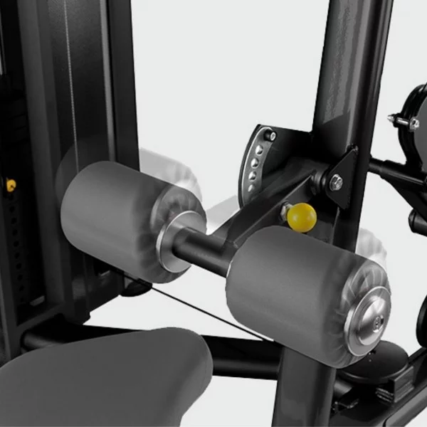Tirage dorsaux BH L110 - Postes Dos - BSA PRO