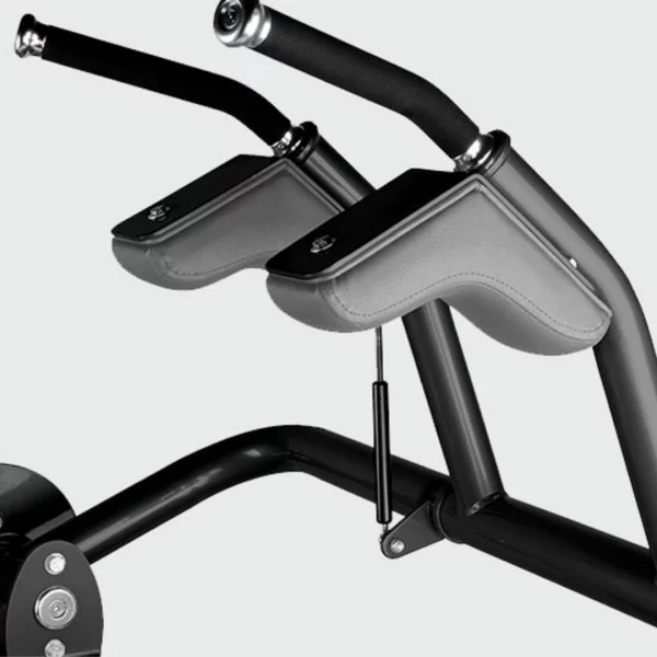 Abdominal BH L310 - Postes Abdominaux - BSA PRO