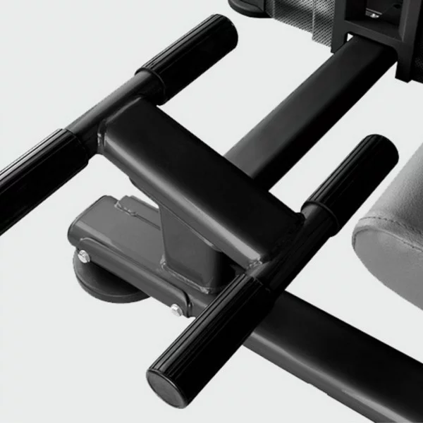 Abdominal BH L310 - Postes Abdominaux - BSA PRO