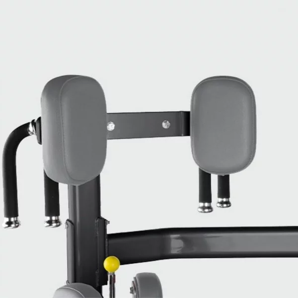 Rotary Torso BH L430 - Postes Abdominaux - BSA PRO