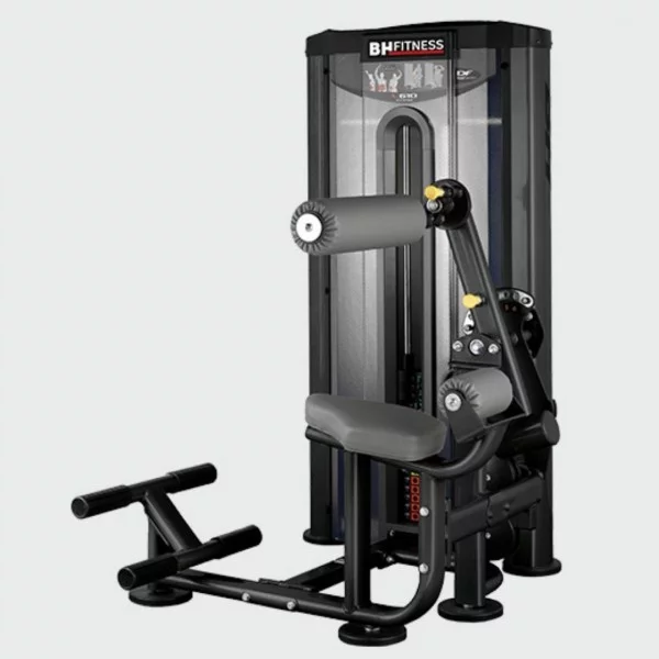 Abdominaux et lombaires BH L610 - Postes Abdominaux - BSA PRO
