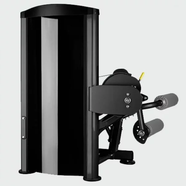 Ischios assis BH L170 - Postes Jambes - BSA PRO