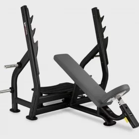 Banc développé incliné BH L820BB - Bancs Musculation - BSA PRO