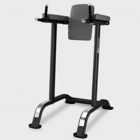 Banc abdo triceps BH L800BB - Chaise romaine - BSA PRO
