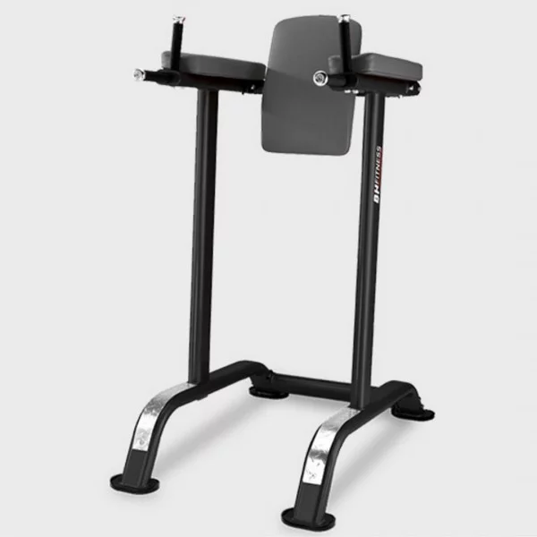 Banc abdo triceps BH L800BB - Chaise romaine - BSA PRO