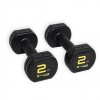 Haltères Fitness Studio 2 kg - Haltères et racks - BSA PRO