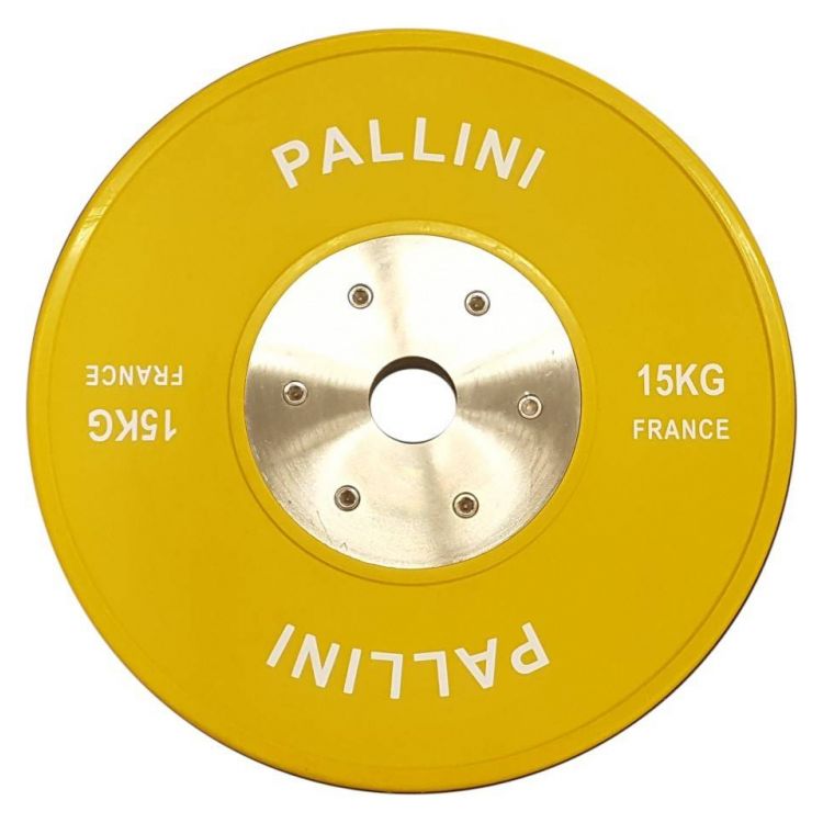Bumper Cross Training 15 kg PALLINI - PALLINI ® - BSA PRO