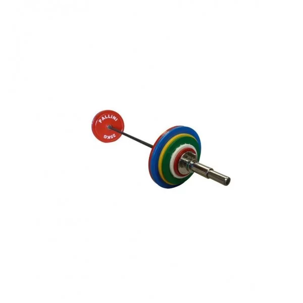 Barre Compétition chargée 182.5 kg PALLINI - PALLINI ® - BSA PRO