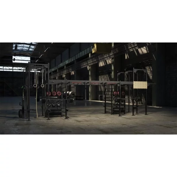 Elite Bridge X - Bridge et Tower Cross Training - BSA PRO