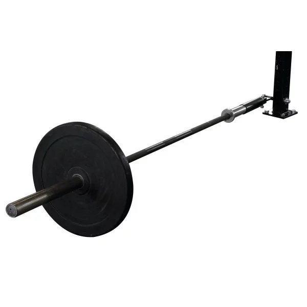 Landmine Core Trainer - BSA cages accessoires - BSA PRO