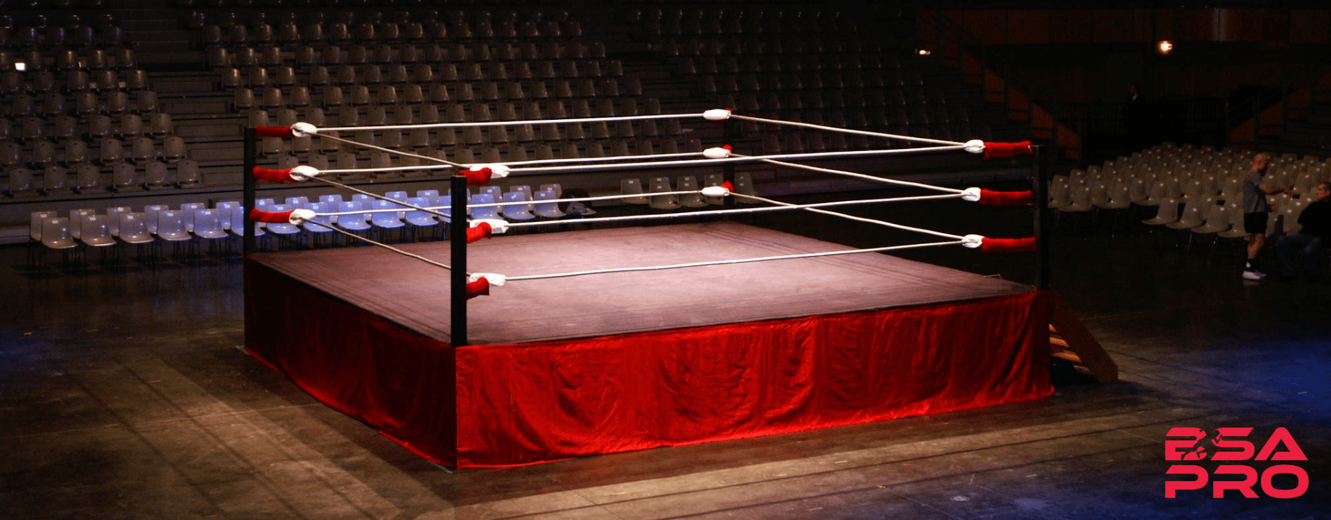 Ring de boxe au sol avec bâche et tapis - Ring - lecoinduring